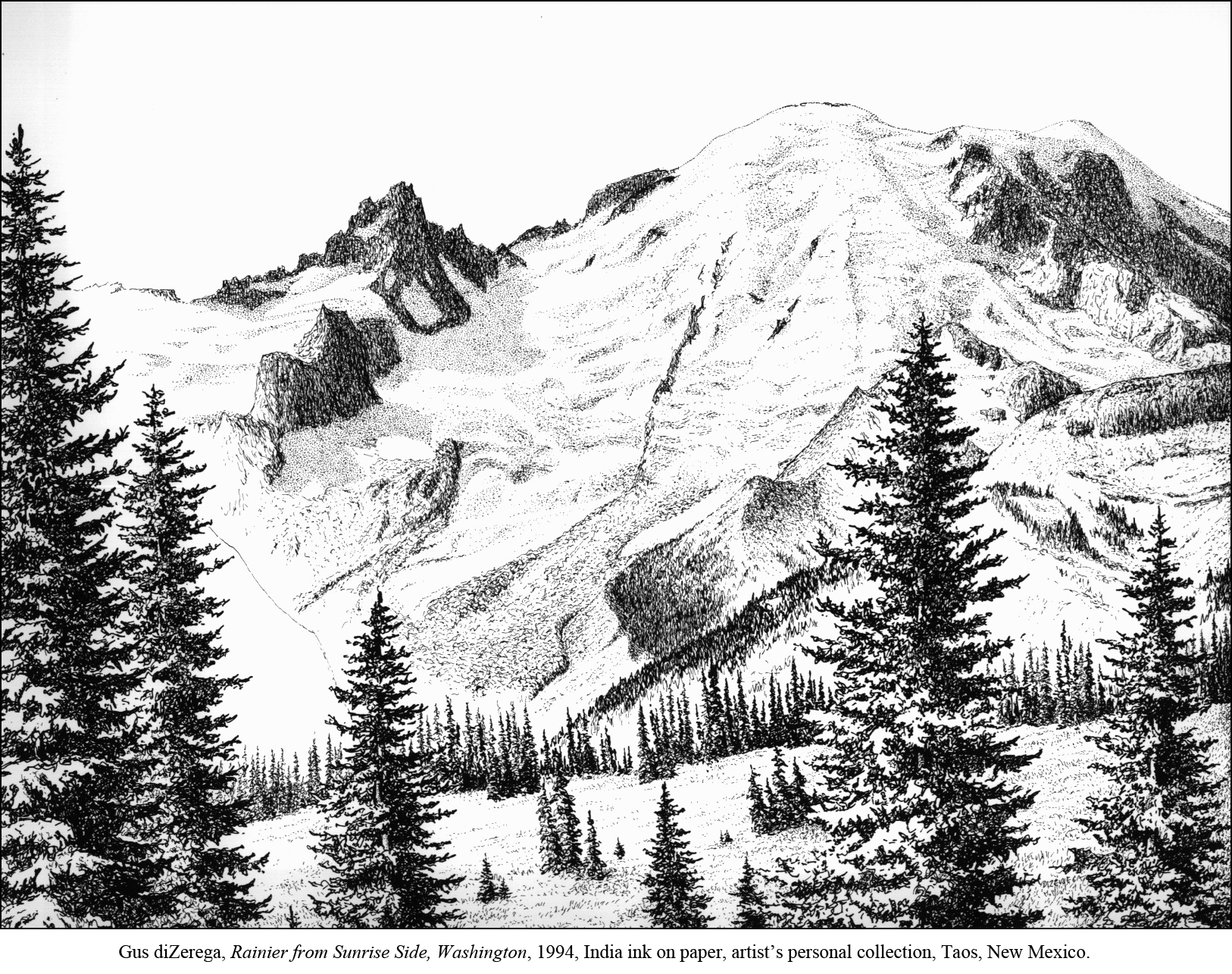 black and white drawing of Mount Rainier with evergreen trees in foreground; citation: Gus diZerega, Rainier from Sunrise Side, Washington, 1994, India ink on paper, artist's personal collection, Taos, New Mexico.